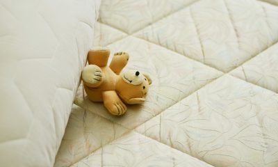 cc0-pixabay-congerdesign-190227